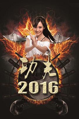 功夫2016(全集)